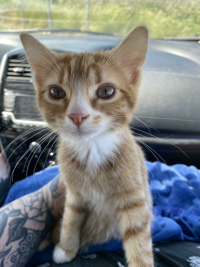 4. What a cutie!