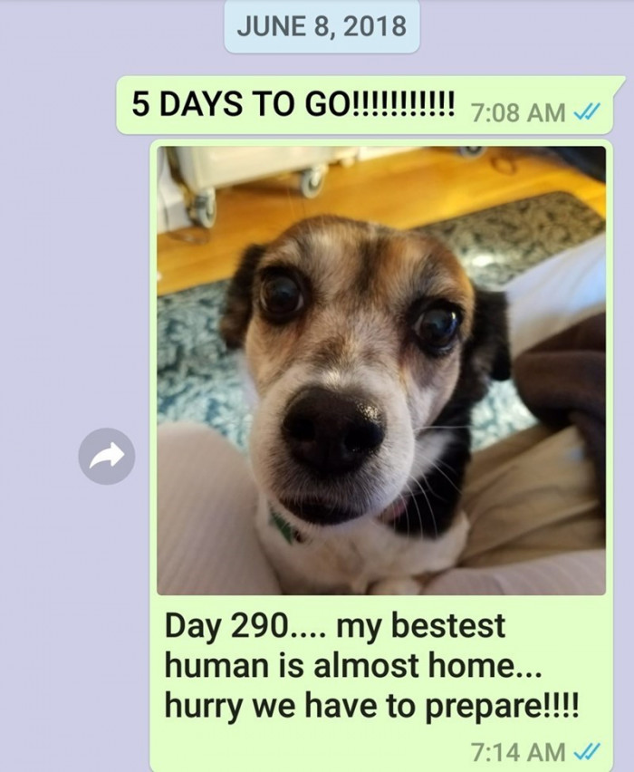 Day 290.
