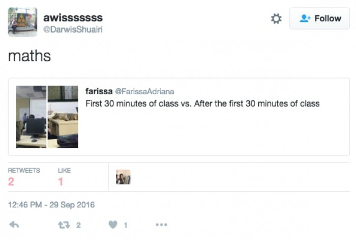 Cat curled up on a university lecture seat, falling asleep.