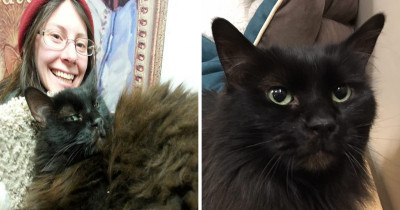 Black Cat Defied The Odds By Being Adopted After Being Alone For Five Years In An Animal Shelter