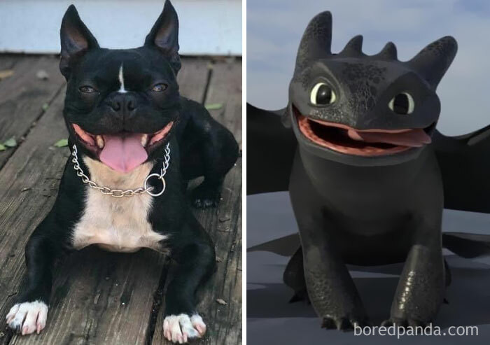29. Toothless from How To Train Your Dragon
