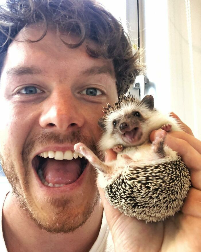 #13 Holding a hedgehog is a relationship. It's full of love