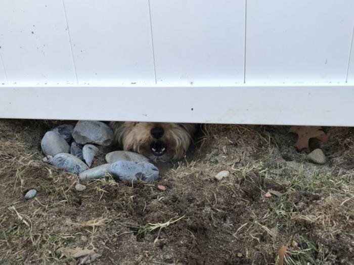 If they couldn't see through, and couldn't see over, the only way left is UNDER!