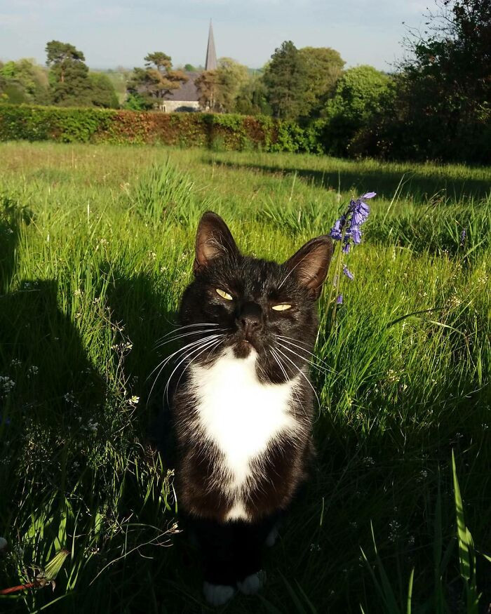 Jagger’s natural instincts were strong, and she went out daily to explore the area