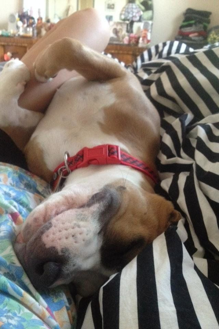 Evacuation scene with scorched landscape, woman rides bike toward safety