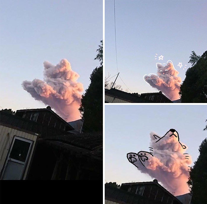"This Cloud Looks Like a Cat and a Dog."
