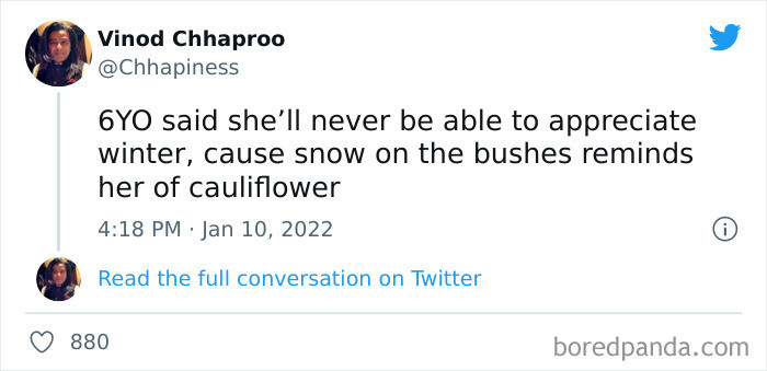 16. Snow on the bushes versus cauliflowers