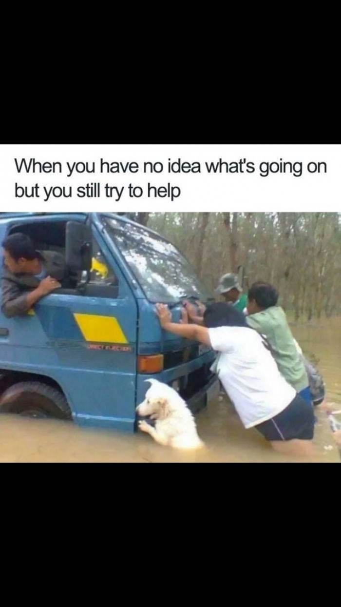 They will always help where they can