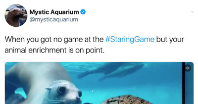 Zoos Have Shared Adorable Footage of Different Species Meeting One Another