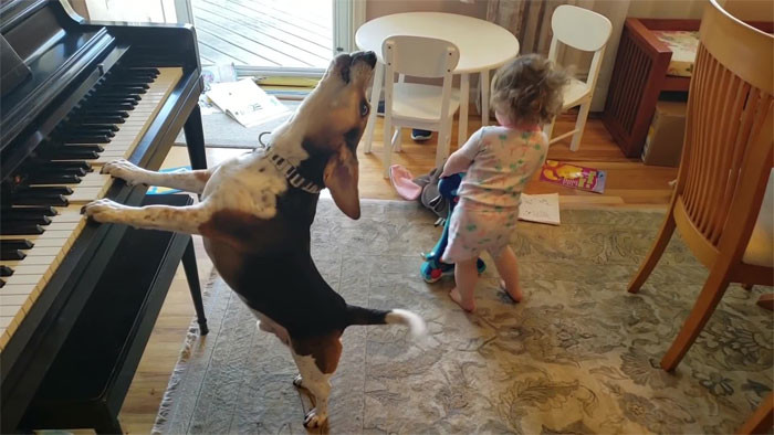 Buddy Mercury with the baby girl, her dad drumming in background