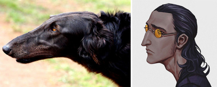 12. Russian Hunting Sighthound comes to life as an anime character