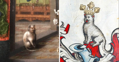 Strange Medieval Cat Paintings That Will Make You Wonder 'Why?!'