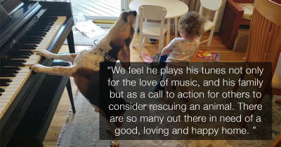Father Captures Adorable Footage Of His Baby Daughter Dancing To Their Dog Playing The Piano