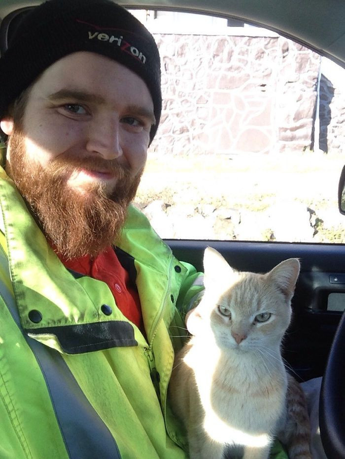 This adorable cat jumped up in this guy's work truck for a bit, and he looked pretty happy about it.
