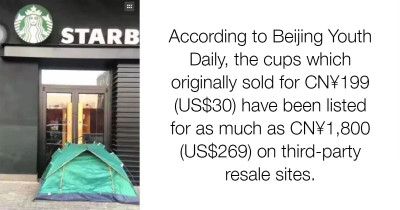 Starbucks' New Cat Mug Is Starting Actual Cat Fights Between People In Real Life