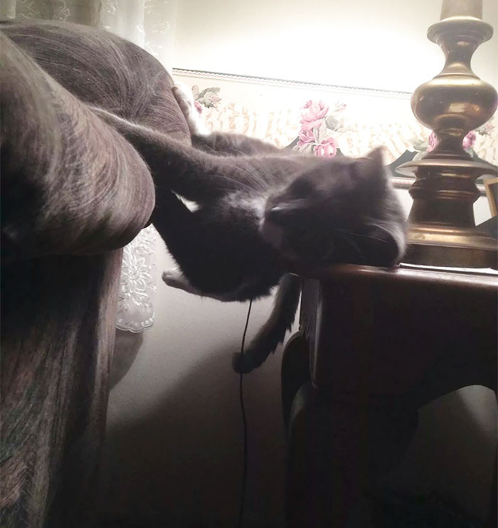 28. "I know cats sleep in weird positions, but this is probably the most ridiculous."