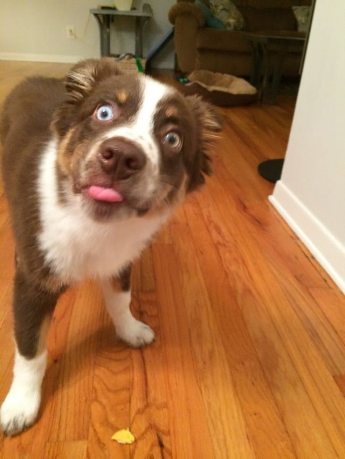 19. First Taste of Peanut Butter.
