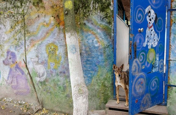 The walls and entrances of the shelter are covered in beautiful art.