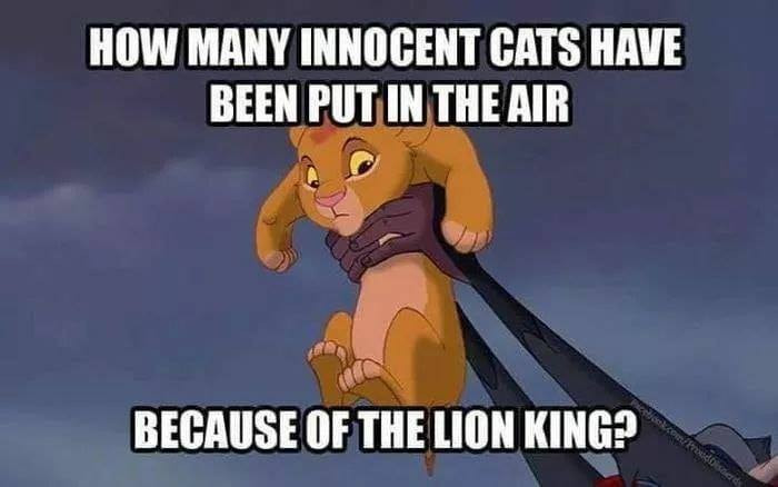 17. Just round up to most cats; most have been put in the air like baby Simba.