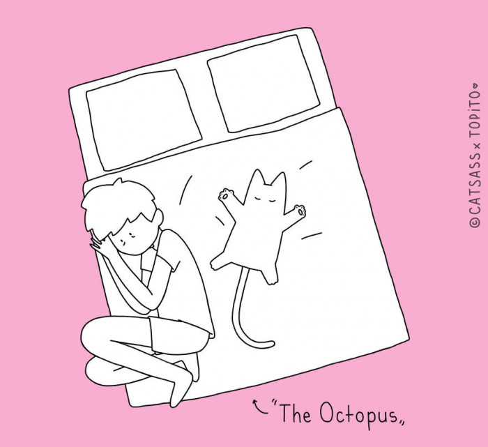 7. When There Is No Space for You and You Won't Dare Move the Cat