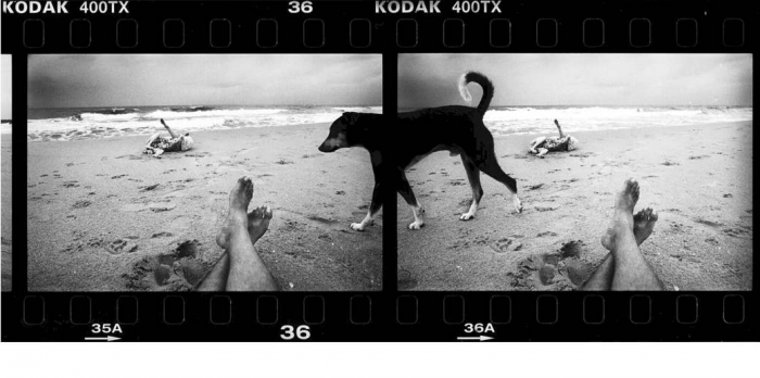16. India, 2007