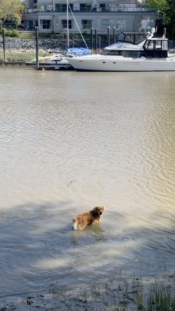 Charlee afraid to go into water