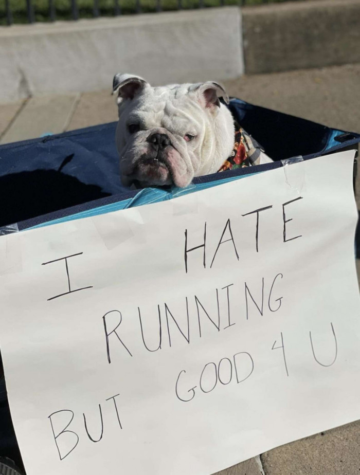 Who wouldn't join his cause?