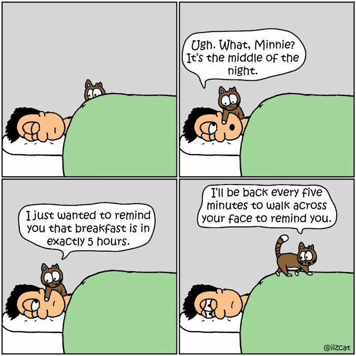 #27 You'll be reminded every five minutes