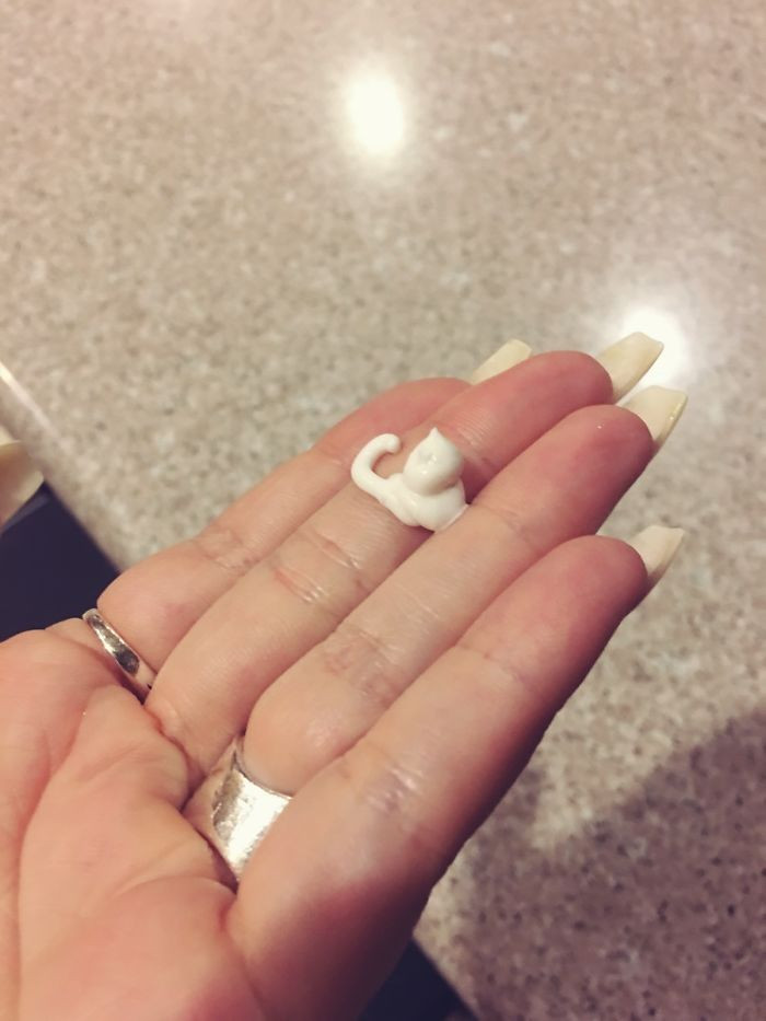 "The Way My Lotion Squirted Out Looks Like a Cat"