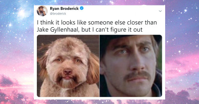 This Dog Looks Strangely Like A Human And It's Freaking People Out