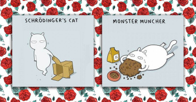 10 Posts That Will Help You Identify Your Cat's Personality