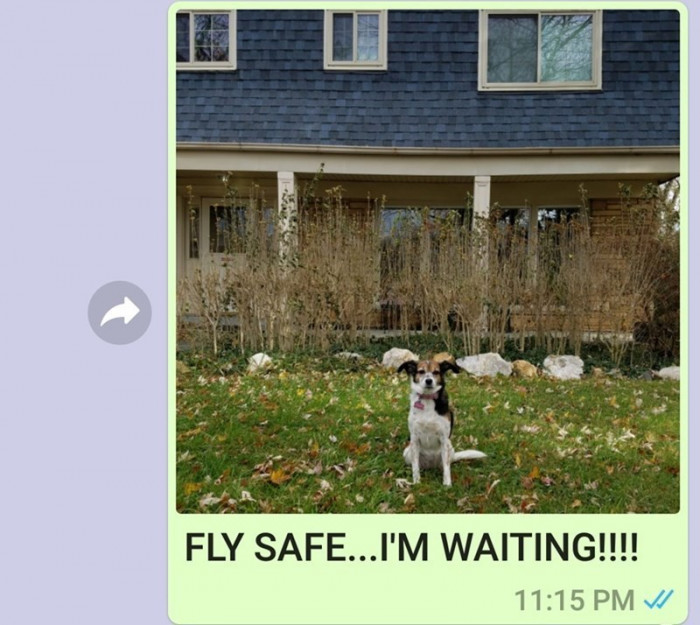 He's on his way home!