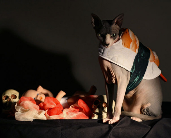 Danger Sushi