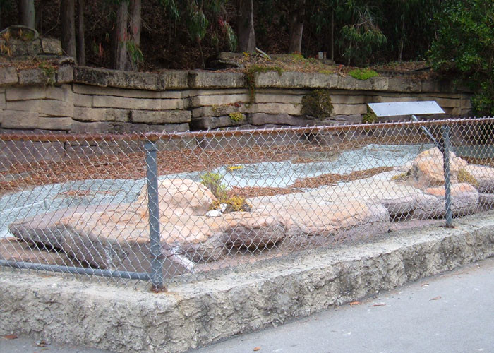 11. Is the animal really hiding?