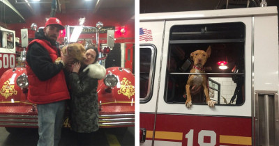 This Rescued Pitbull Is Pure Proof That People Really Don't Deserve Dogs