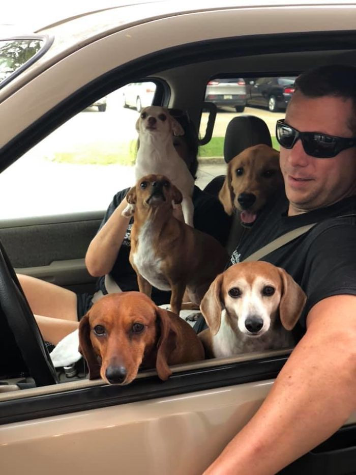 5. "I work at Starbucks, and this happened today in the drive-thru (I got permission to take this photo)."