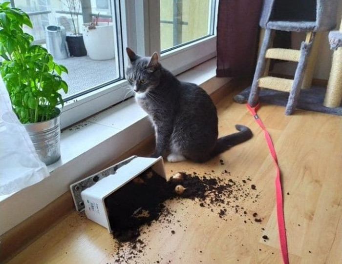 14. “Your shit was in my way.”