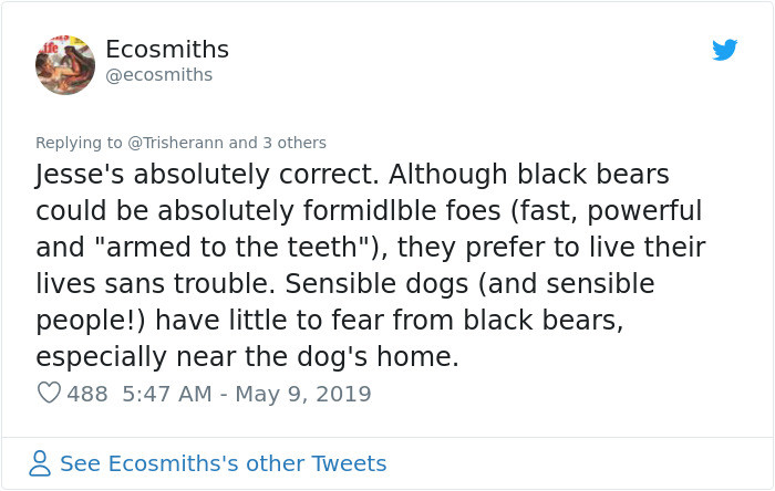 A bit about black bears.