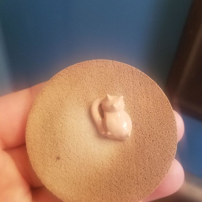 "The Makeup Squirt on My Sponge Resembled a Cat This Morning."