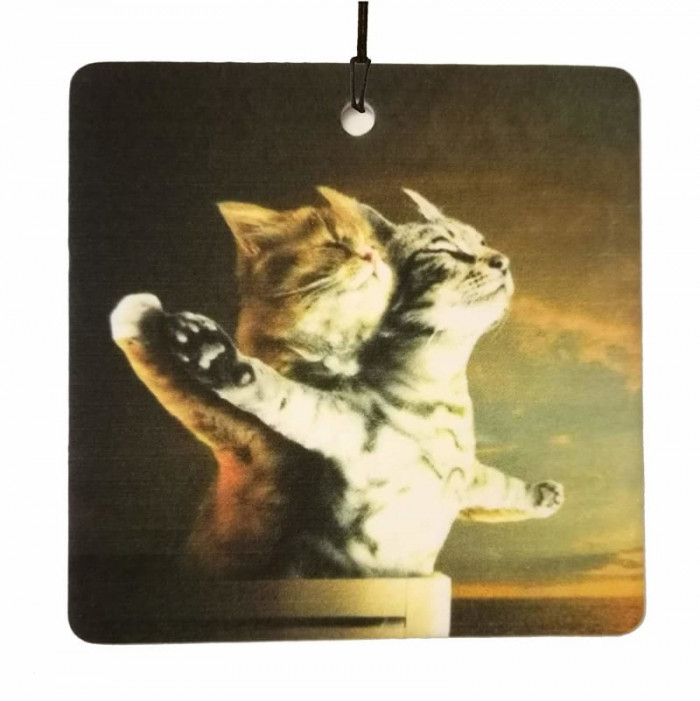 Titanic-themed cat air freshener.