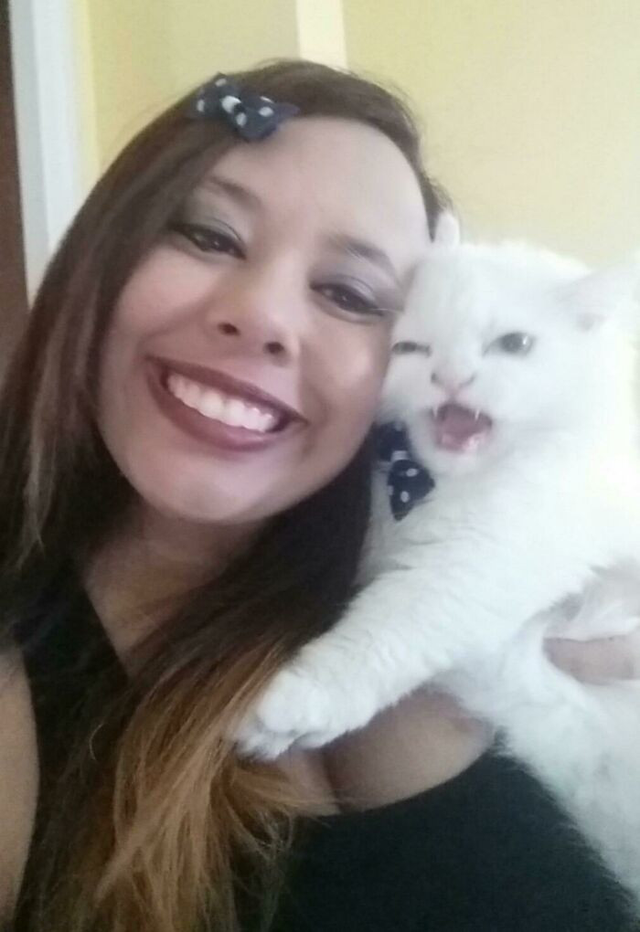 36. "My Friend Tried to Take a Selfie with Her New Kitty"