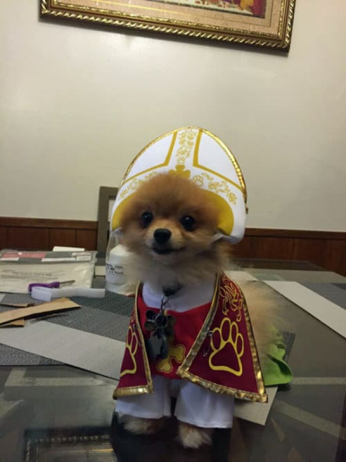 They might even be royalty???