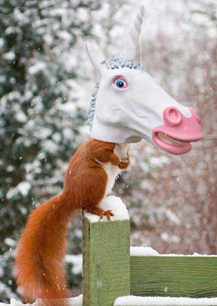 This unicorn head is actually a squirrel feeder.