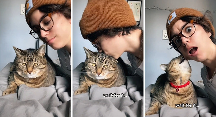 He kissed back!