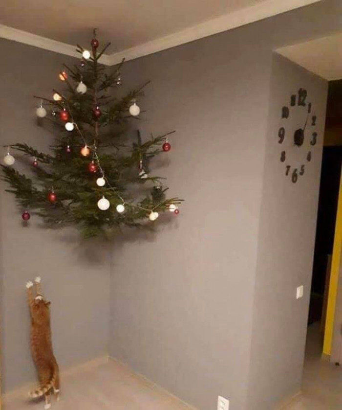 15. "Anti-gravity Christmas tree height tester."