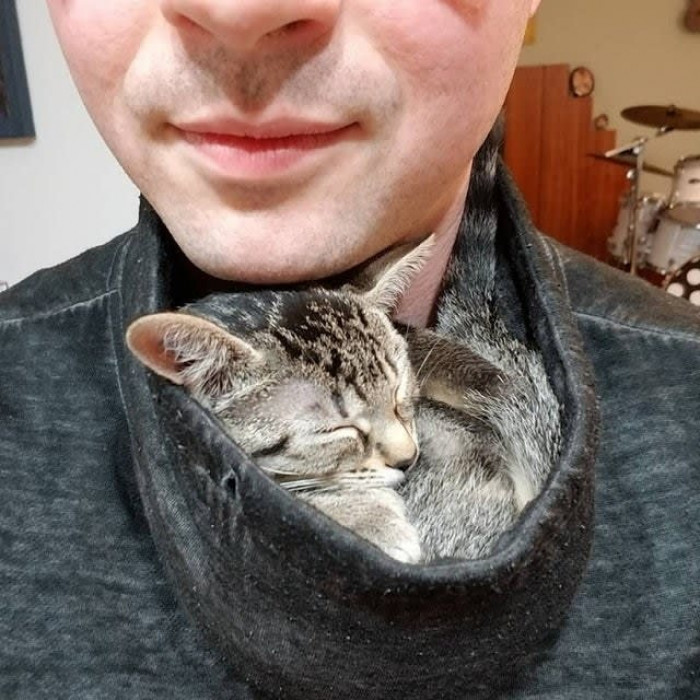 Cowl Neck Shirts = Kitten Hammocks