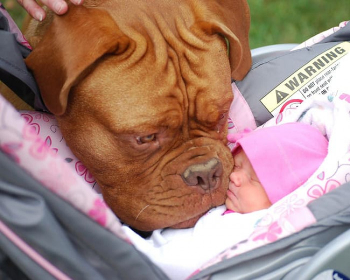 10. "Meeting His New Sister for the First Time."