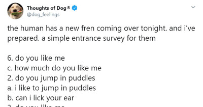 If You're A Dog Parent, You'll Find These "Thoughts of Dog" Tweets Smashingly Relatable
