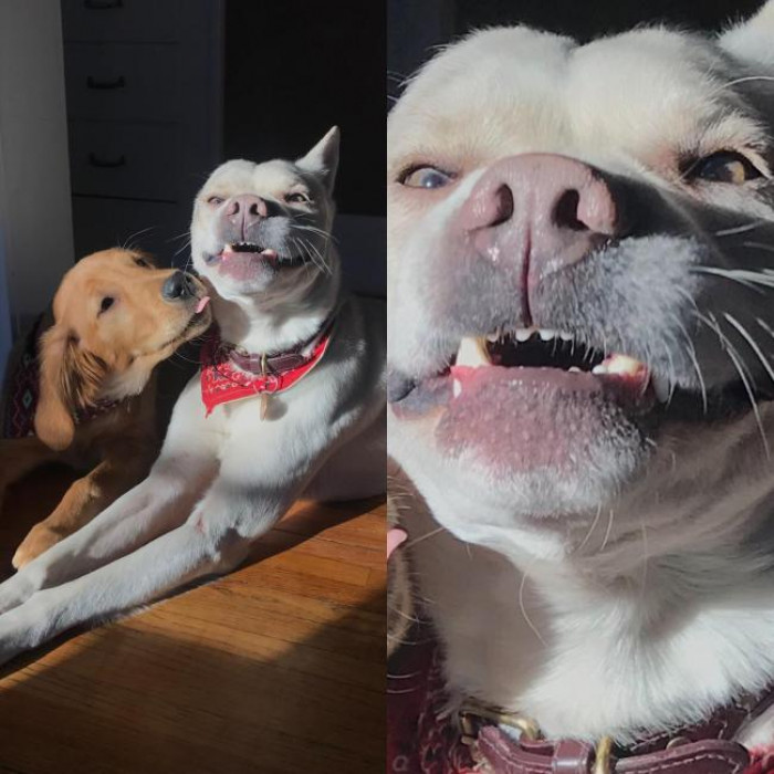 Quite pleased with himself, don't you think?