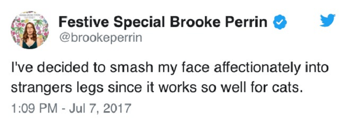 10. Anything that works for cats stands a chance of working for us, too. Right? Right?